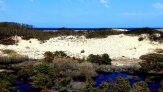 bright blue sky relfecting off of water over dunes with vegetation all around